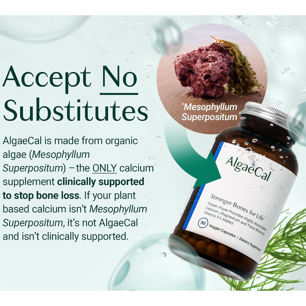 AlgaeCal Plant-Based Calcium, 90 Veggie Capsules