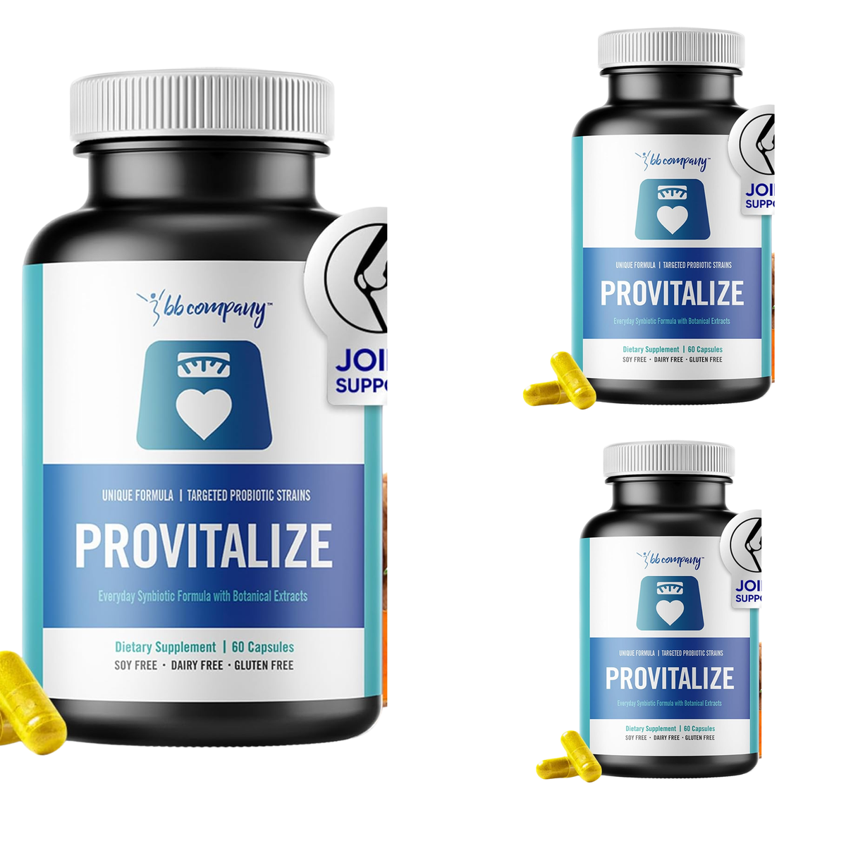 Provitalize Everyday Synbiotic Formula with Botanical Extracts — 60 Capsules